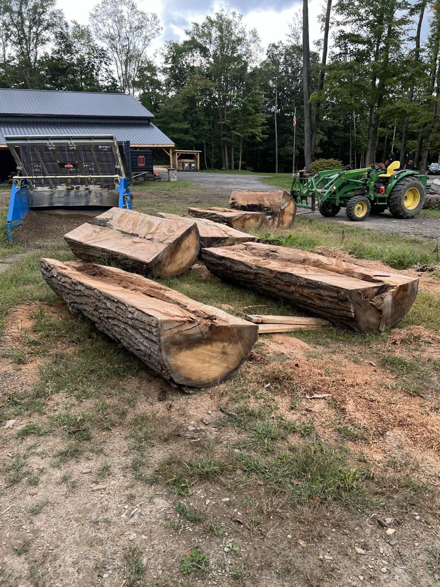Logs in the yard with the kiln and loader behind