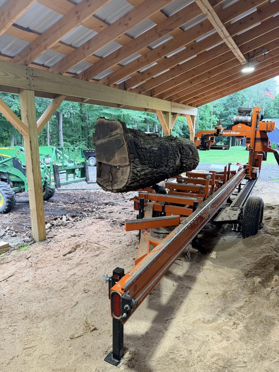 A butt log on the Wood-Mizer sawmill under the timber-frame shed